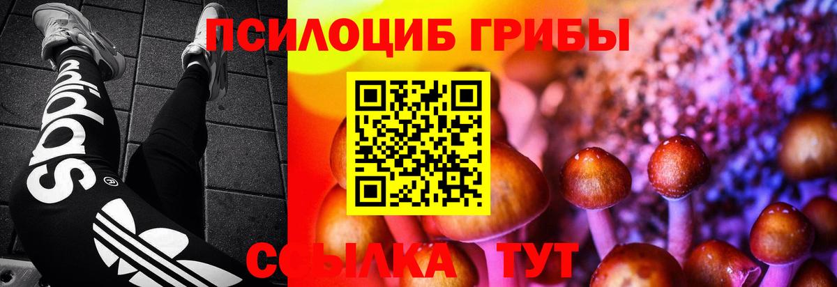 Псилоцибиновые грибы прущие грибы Димитровград